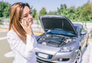 SELECINSURE Personal Motor Vehicle class=